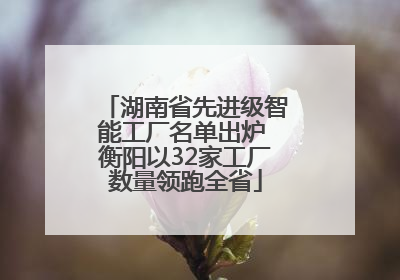 湖南省先进级智能工厂名单出炉 衡阳以32家工厂数量领跑全省