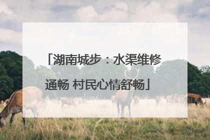 湖南城步：水渠维修通畅 村民心情舒畅