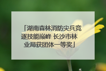 湖南森林消防尖兵竞逐技能巅峰 长沙市林业局获团体一等奖