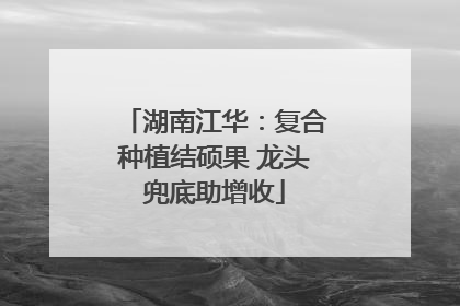 湖南江华：复合种植结硕果 龙头兜底助增收
