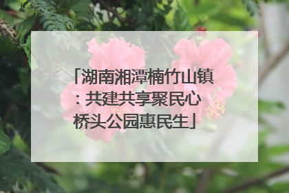 湖南湘潭楠竹山镇：共建共享聚民心 桥头公园惠民生