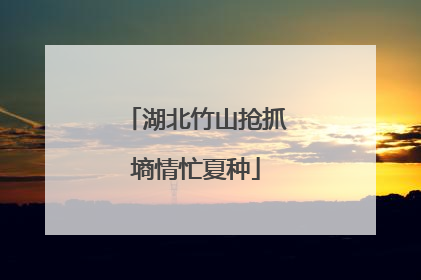 湖北竹山抢抓墒情忙夏种