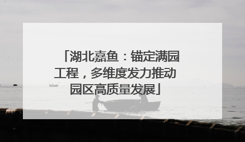 湖北嘉鱼：锚定满园工程，多维度发力推动园区高质量发展