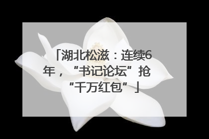 湖北松滋：连续6年，“书记论坛”抢“千万红包”
