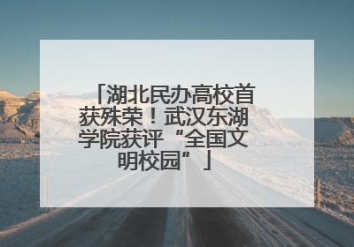 湖北民办高校首获殊荣！武汉东湖学院获评“全国文明校园”