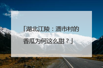 湖北江陵：潘市村的香瓜为何这么甜？