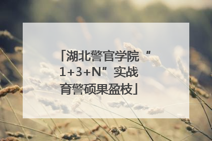 湖北警官学院“1+3+N”实战育警硕果盈枝