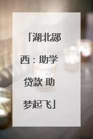 湖北郧西：助学贷款 助梦起飞
