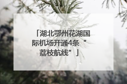 湖北鄂州花湖国际机场开通4条“荔枝航线”