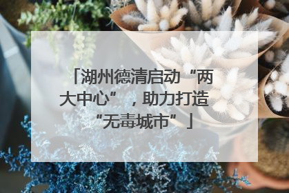 湖州德清启动“两大中心”，助力打造“无毒城市”