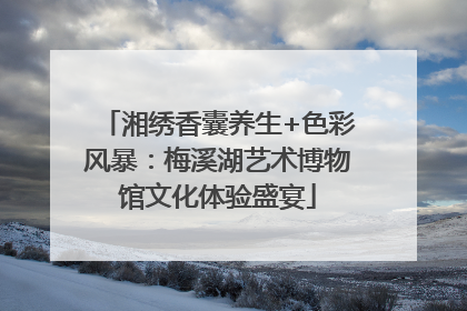 湘绣香囊养生+色彩风暴：梅溪湖艺术博物馆文化体验盛宴