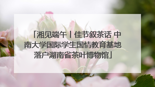 湘见端午丨佳节叙茶话 中南大学国际学生国情教育基地落户湖南省茶叶博物馆