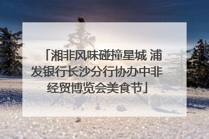 湘非风味碰撞星城 浦发银行长沙分行协办中非经贸博览会美食节