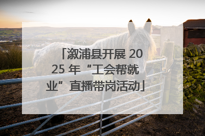 溆浦县开展 2025 年“工会帮就业”直播带岗活动