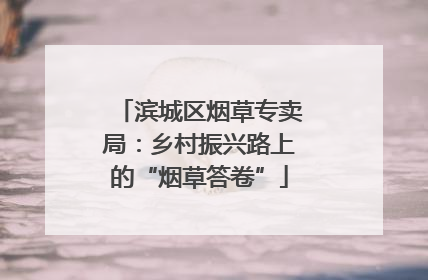 滨城区烟草专卖局：乡村振兴路上的“烟草答卷”
