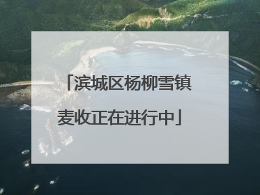 滨城区杨柳雪镇麦收正在进行中