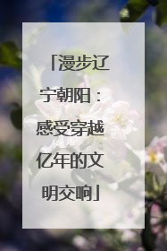 漫步辽宁朝阳：感受穿越亿年的文明交响