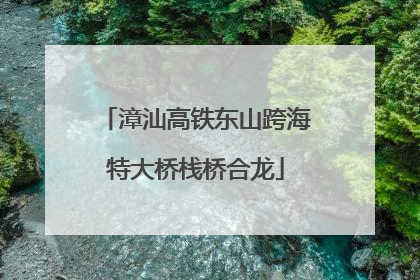 漳汕高铁东山跨海特大桥栈桥合龙