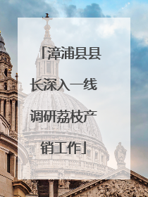 漳浦县县长深入一线调研荔枝产销工作