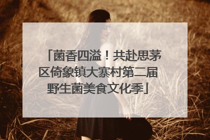 菌香四溢！共赴思茅区倚象镇大寨村第二届野生菌美食文化季