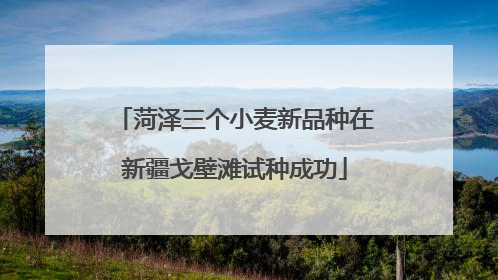 菏泽三个小麦新品种在新疆戈壁滩试种成功