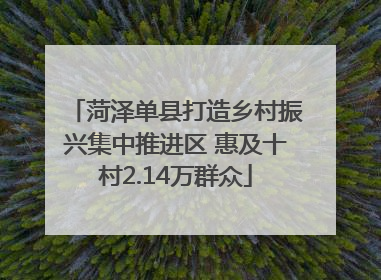菏泽单县打造乡村振兴集中推进区 惠及十村2.14万群众