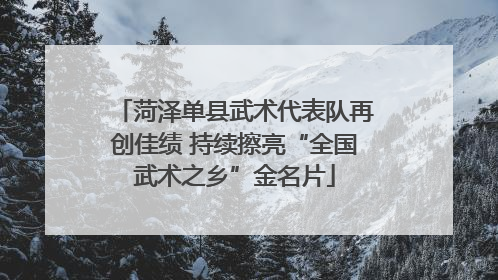 菏泽单县武术代表队再创佳绩 持续擦亮“全国武术之乡”金名片