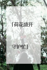 荷花盛开守护忙