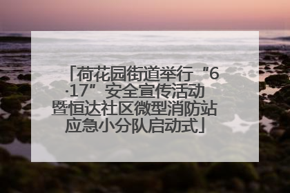 荷花园街道举行“6·17”安全宣传活动暨恒达社区微型消防站应急小分队启动式