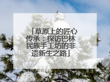 草原上的匠心传承：探访巴林民族手工坊的非遗新生之路