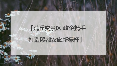 荒丘变景区 政企携手打造殷都农旅新标杆