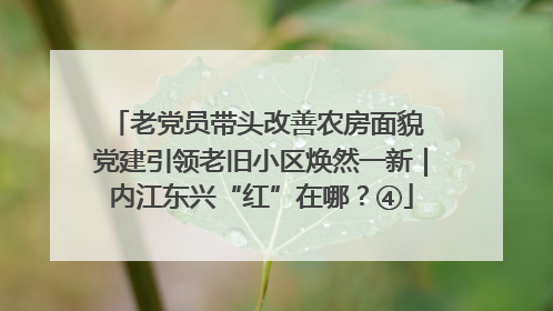 老党员带头改善农房面貌 党建引领老旧小区焕然一新｜内江东兴“红”在哪？④
