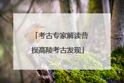 考古专家解读曹操高陵考古发现
