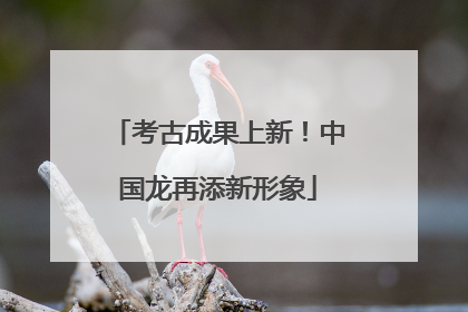 考古成果上新！中国龙再添新形象