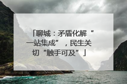聊城：矛盾化解“一站集成”，民生关切“触手可及”