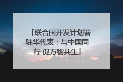 联合国开发计划署驻华代表：与中国同行 促万物共生