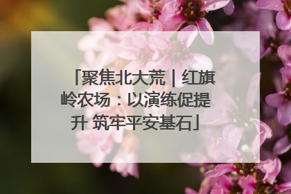 聚焦北大荒｜红旗岭农场：以演练促提升 筑牢平安基石