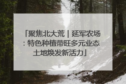 聚焦北大荒｜延军农场：特色种植带旺多元业态 土地焕发新活力