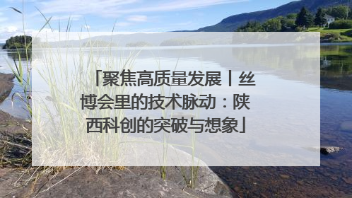 聚焦高质量发展丨丝博会里的技术脉动：陕西科创的突破与想象