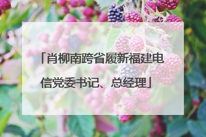 肖柳南跨省履新福建电信党委书记、总经理