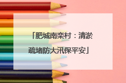 肥城南栾村：清淤疏堵防大汛保平安
