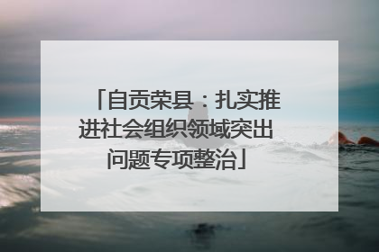 自贡荣县：扎实推进社会组织领域突出问题专项整治