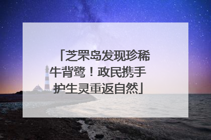 芝罘岛发现珍稀牛背鹭！政民携手护生灵重返自然