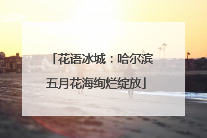 花语冰城：哈尔滨五月花海绚烂绽放