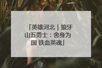 英雄河北｜狼牙山五勇士：舍身为国 铁血英魂