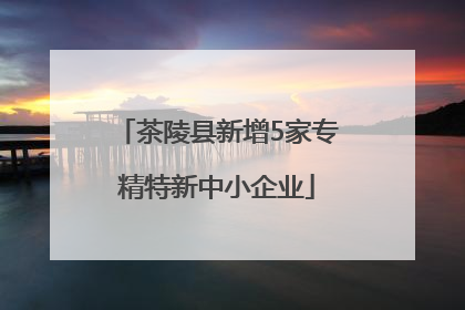茶陵县新增5家专精特新中小企业