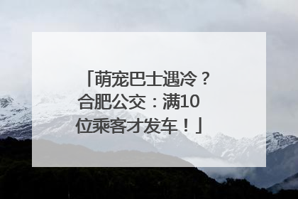 萌宠巴士遇冷？合肥公交：满10位乘客才发车！