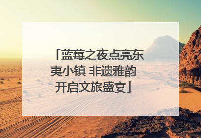 蓝莓之夜点亮东夷小镇 非遗雅韵开启文旅盛宴