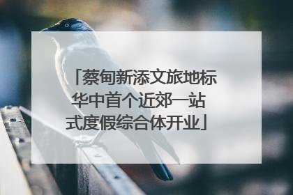 蔡甸新添文旅地标 华中首个近郊一站式度假综合体开业