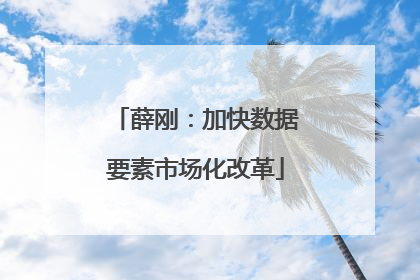 薛刚：加快数据要素市场化改革